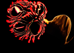 １６０８１３花火 a(11)