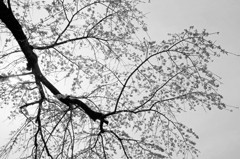 DSC03070