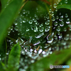 DSC05306
