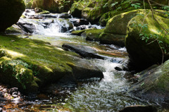 20150808岩屋堂 (5)