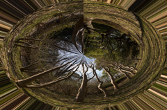 DSC01885風景・極座標