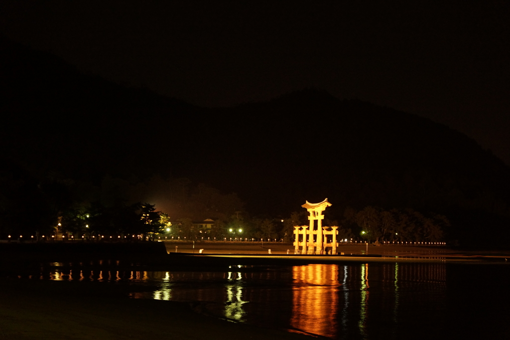 夜の宮島 (65)
