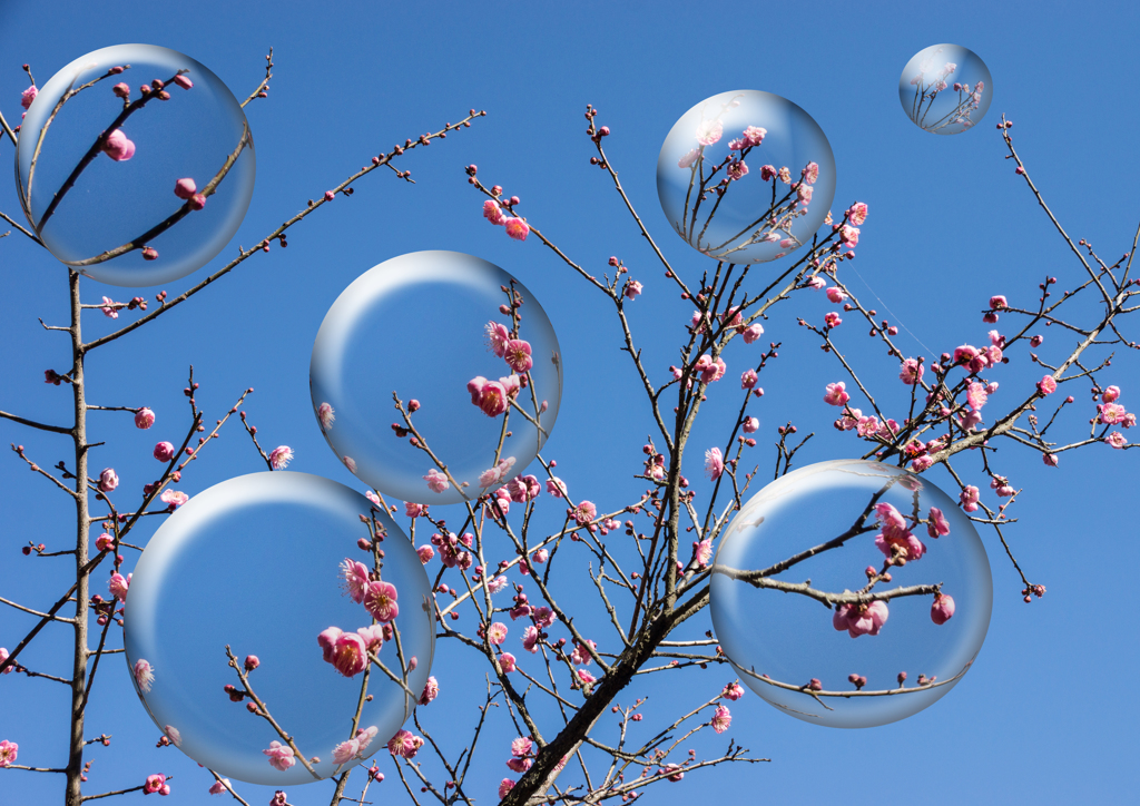 DSC01862冬空 (8)球面