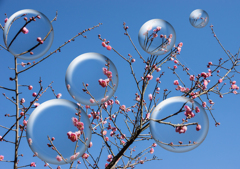 DSC01862冬空 (8)球面