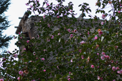 DSC02264