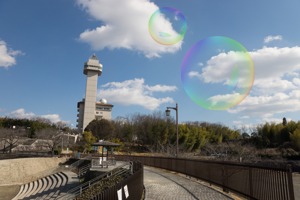 DSC01884シャボン