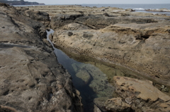 浜田の海岸 (63)