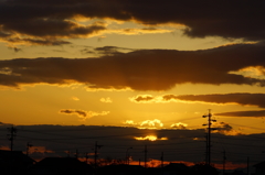 DSC01731