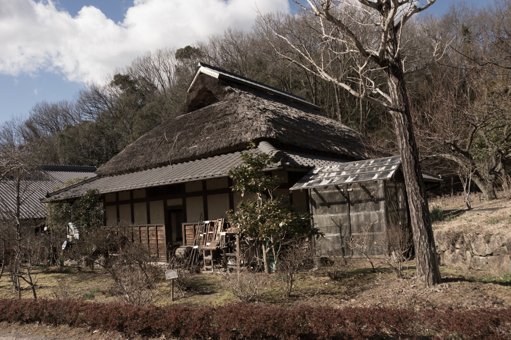 DSC01617昭和の家