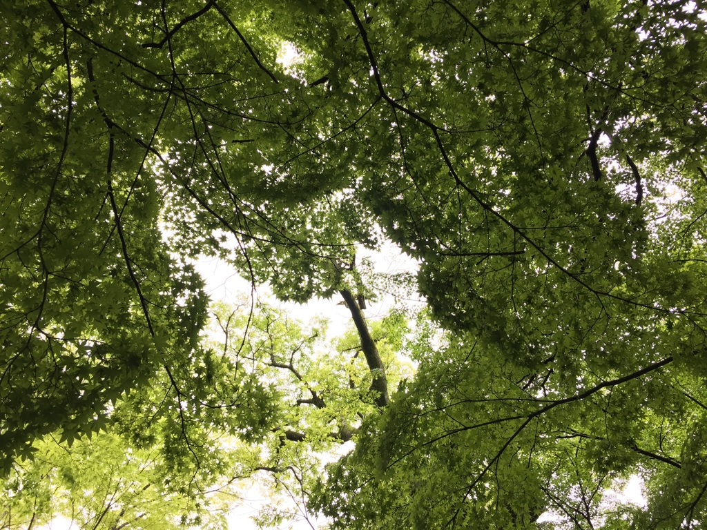 吹き抜け
