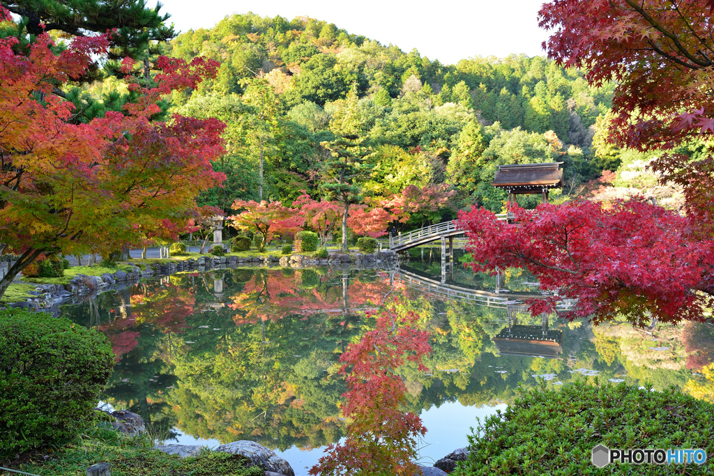 澄む朝の永保寺