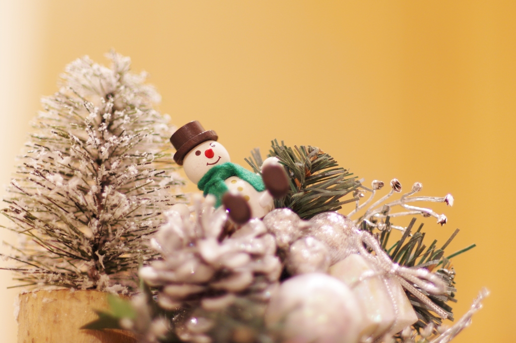 I wish you a Merry Christmas.