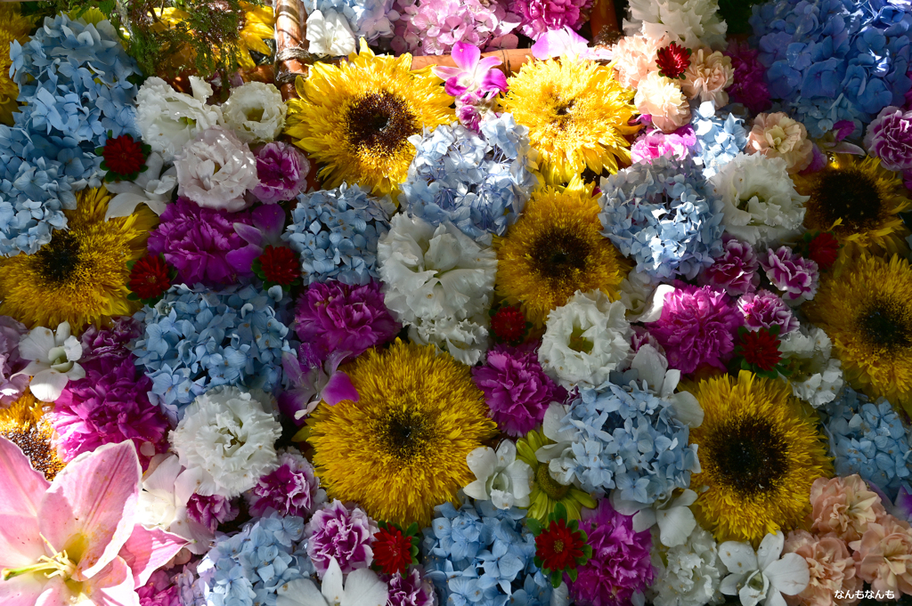 浮花　２