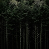 骨木の森
