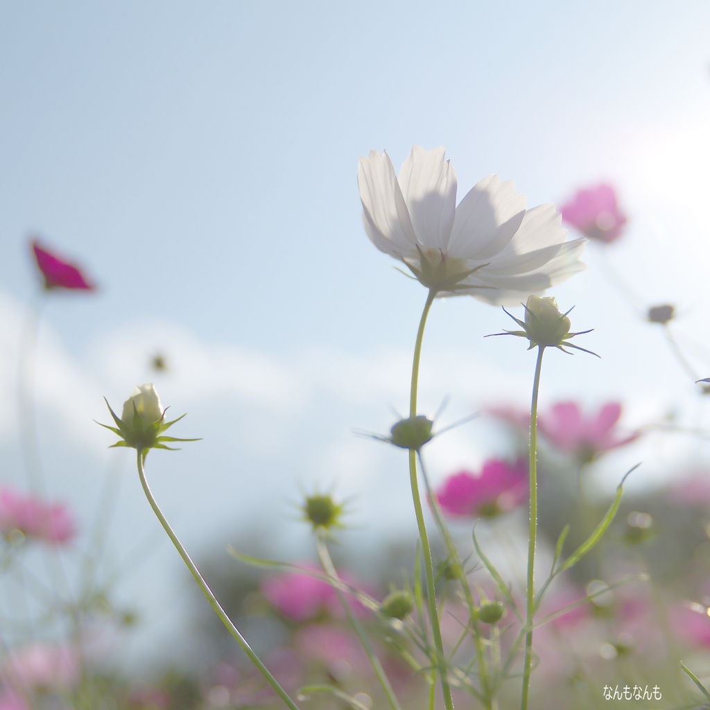 ・・・秋ですな　其の３