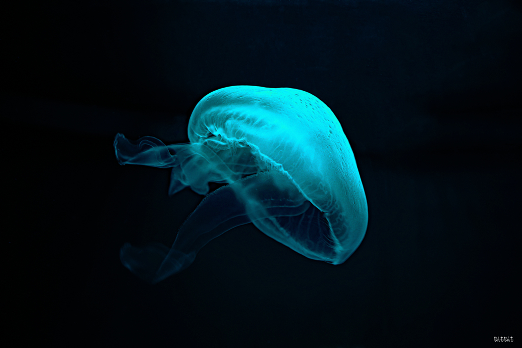 なんもリウム