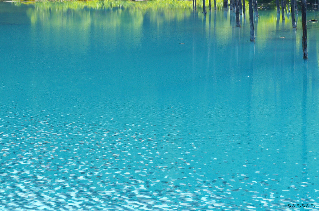 turquoise blue