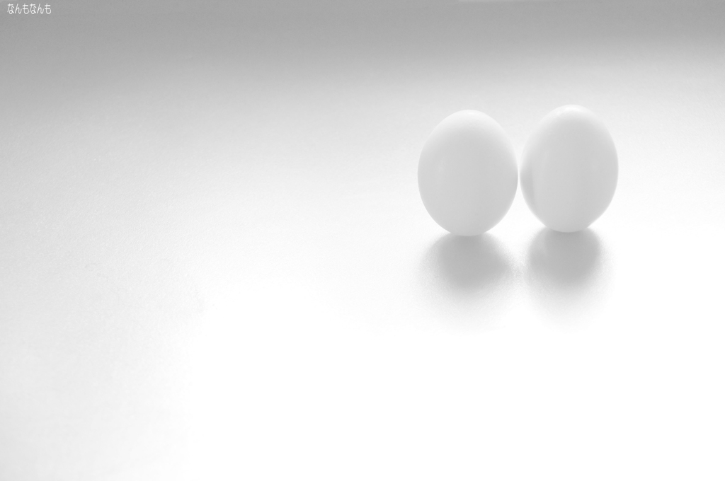 我こそがコロンブス！