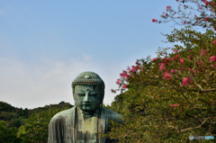 鎌倉の大仏～望遠レンズ