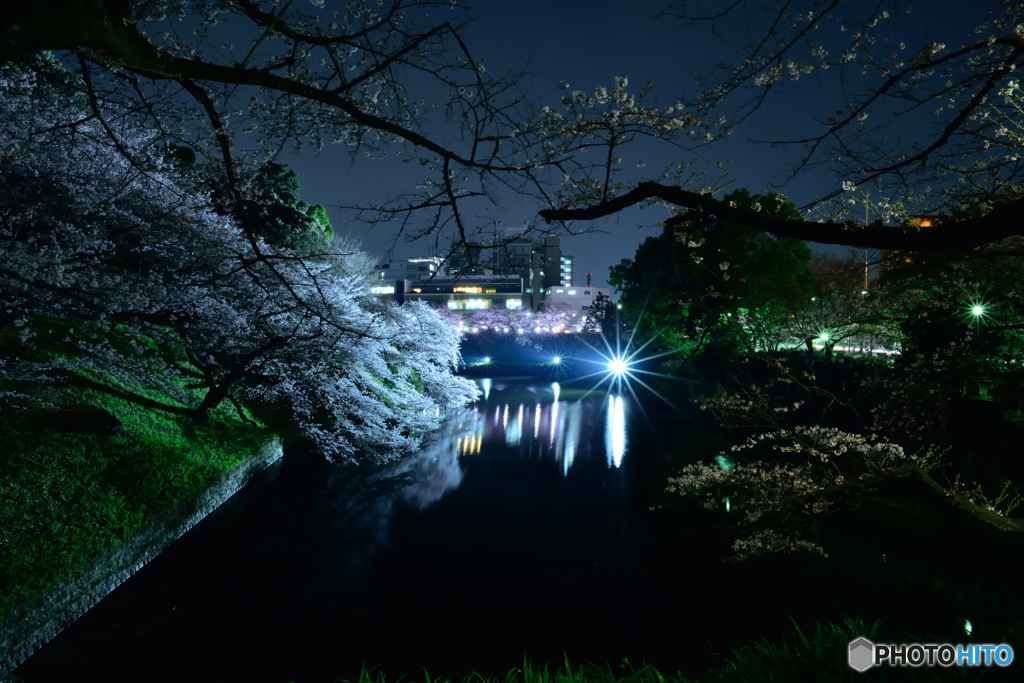 千鳥ヶ淵3