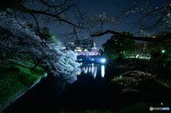 千鳥ヶ淵3