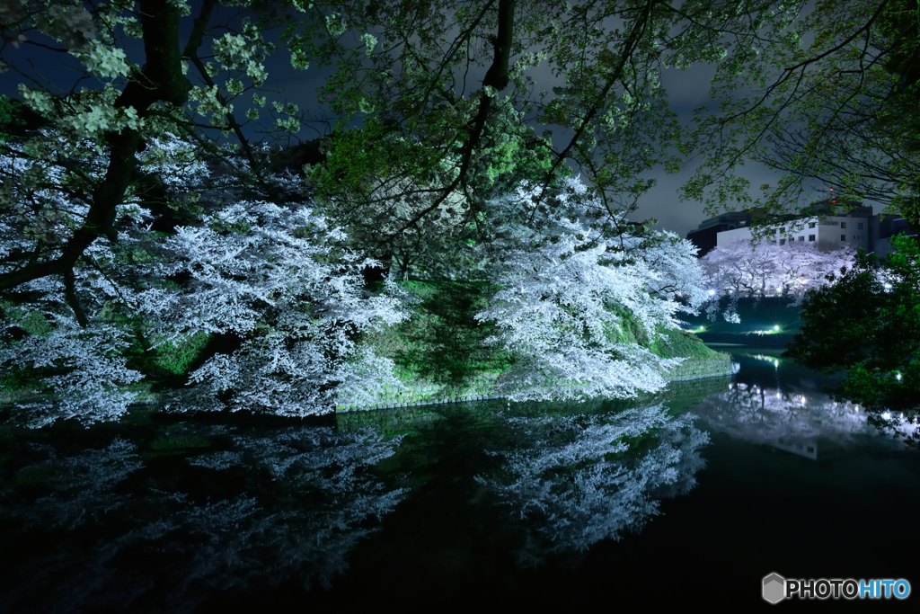 千鳥ヶ淵２