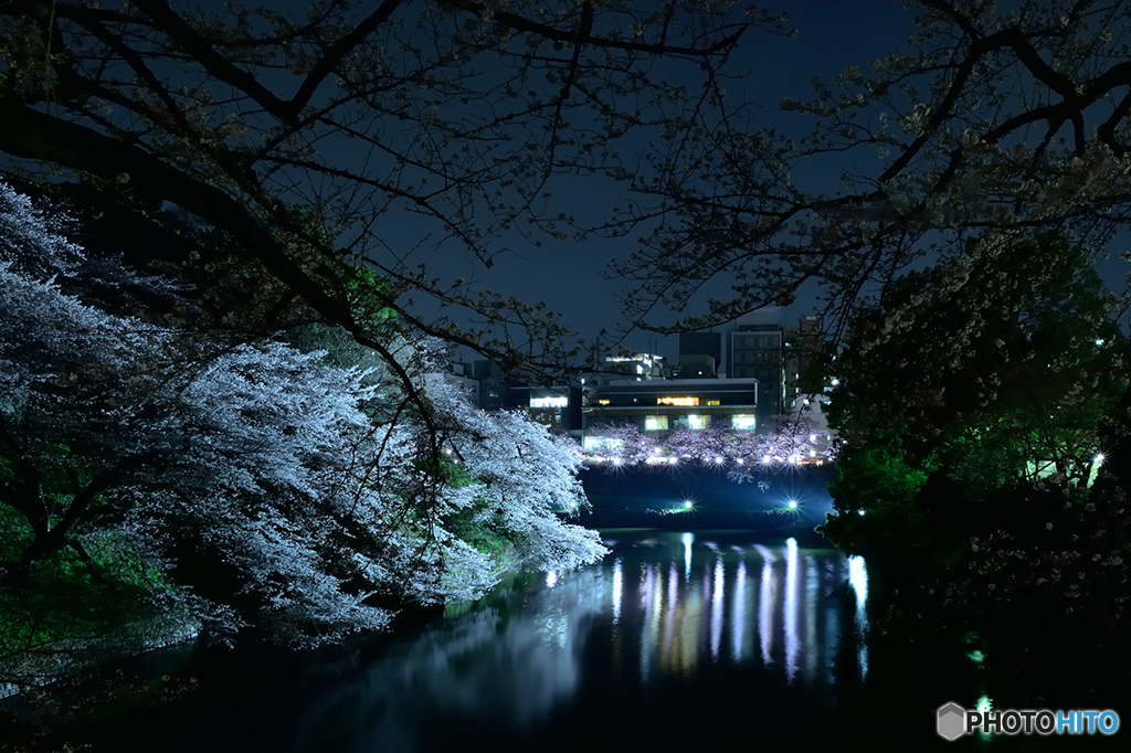 千鳥ヶ淵1