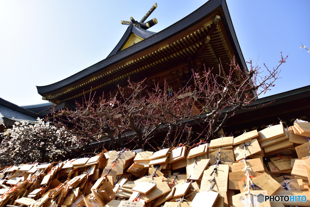 湯島天神　梅まつりに合格祈願
