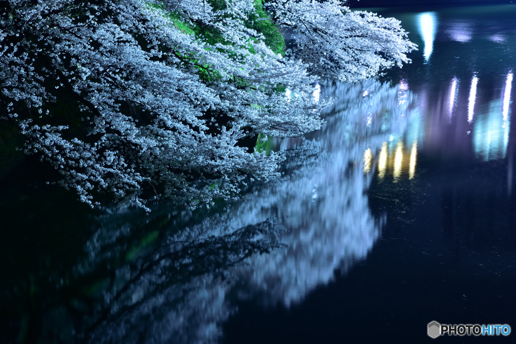 千鳥ヶ淵2