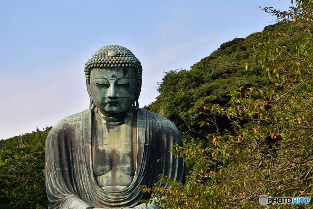 鎌倉の大仏～望遠レンズ