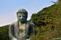 鎌倉の大仏～望遠レンズ