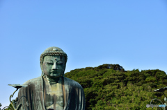 鎌倉の大仏～望遠レンズ