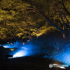 六義園3～ブルーにライトアップ