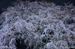 六義園