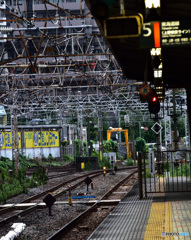 朝の品川駅