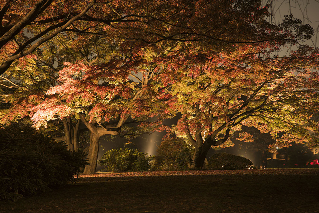 六義園