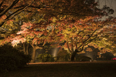 六義園