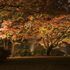 六義園