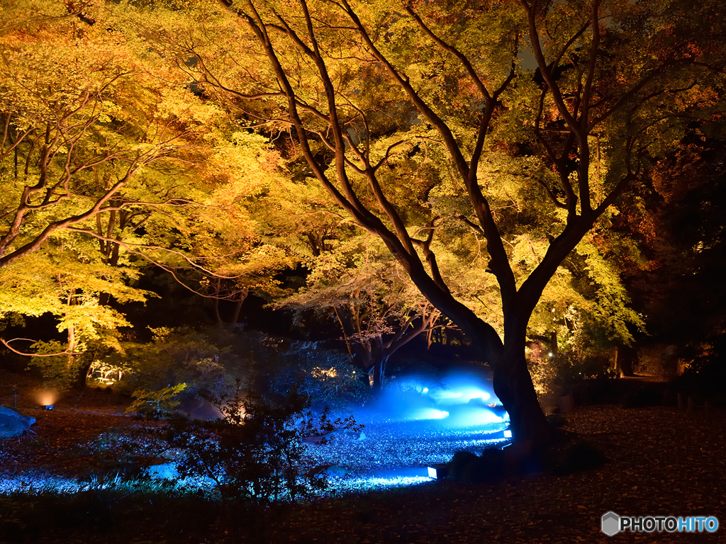 六義園4～紅葉とブルー
