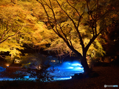 六義園4～紅葉とブルー