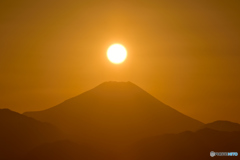 高尾山頂から富士を望む