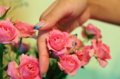 Wish happiness be always with you.