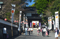 飫肥城下祭り
