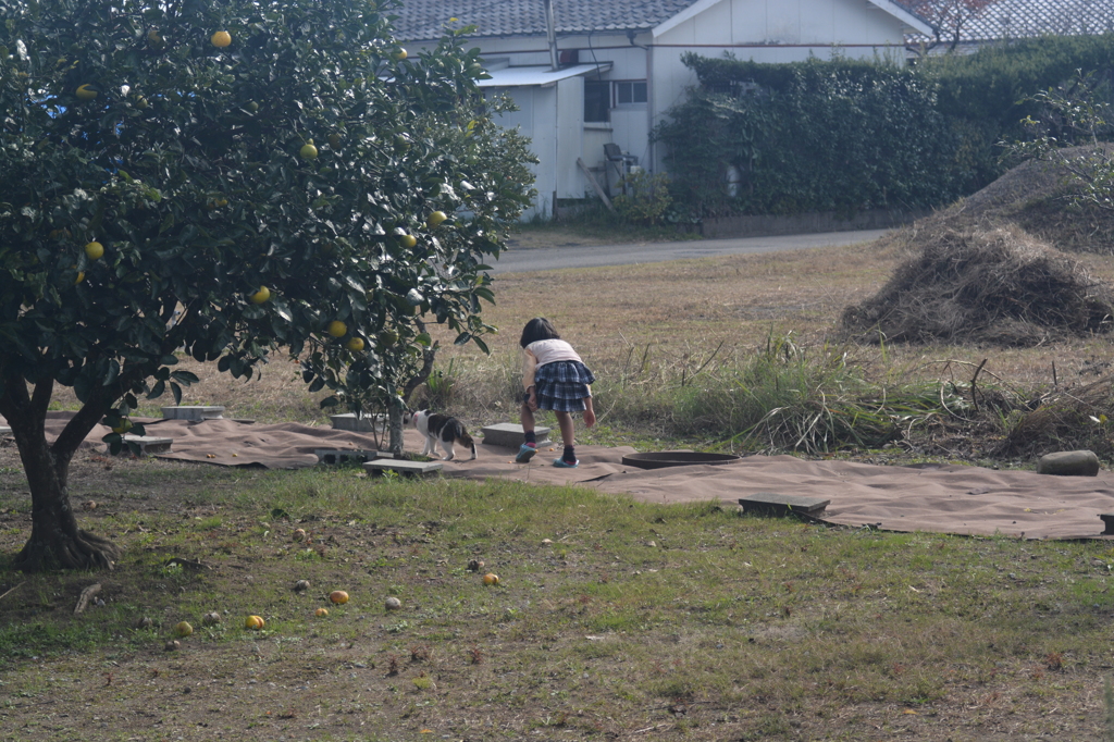 ねー待ってー