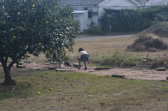 ねー待ってー