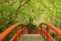 伊香保温泉 河鹿橋