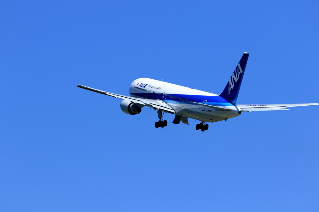 Flying Blue