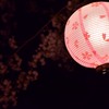 家山トンネル　桜提灯