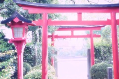 神社