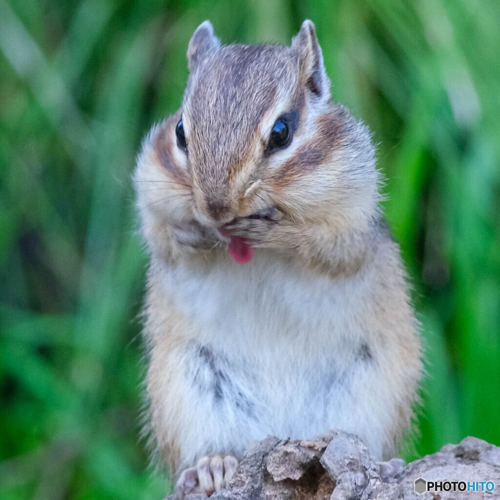 食欲の秋